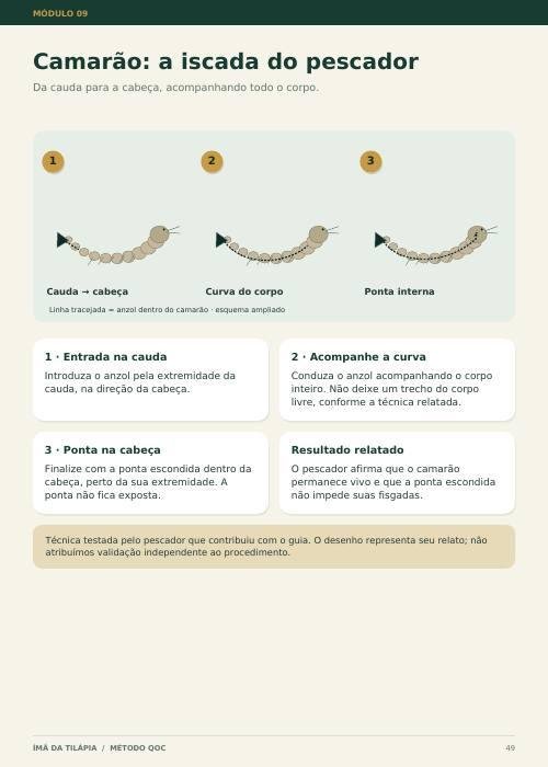 Página da iscada do camarão vivo